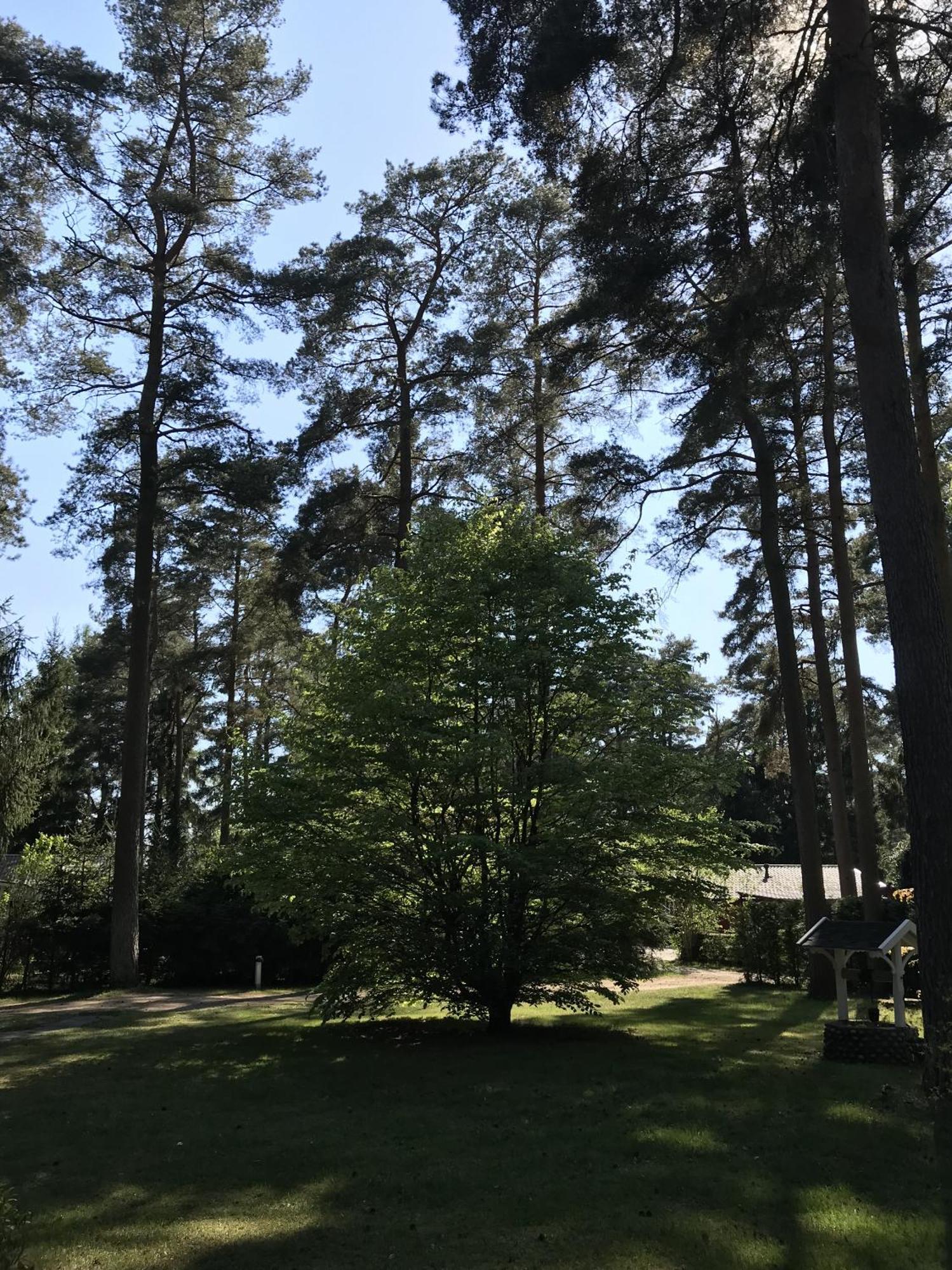 Nordic Relax House - Woodhouse Hébergement de vacances Sjöbo